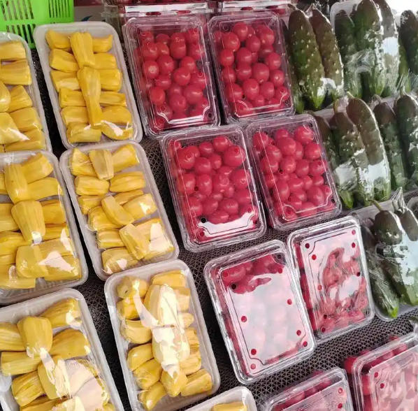 塑世界，创无限！锐塑热成型设备应用广泛